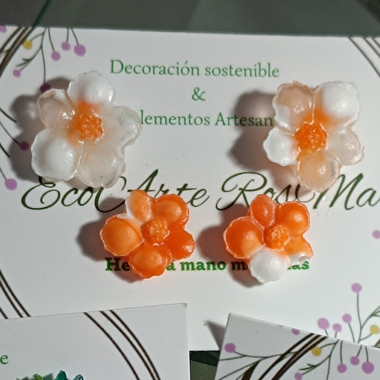 Pendientes de resina