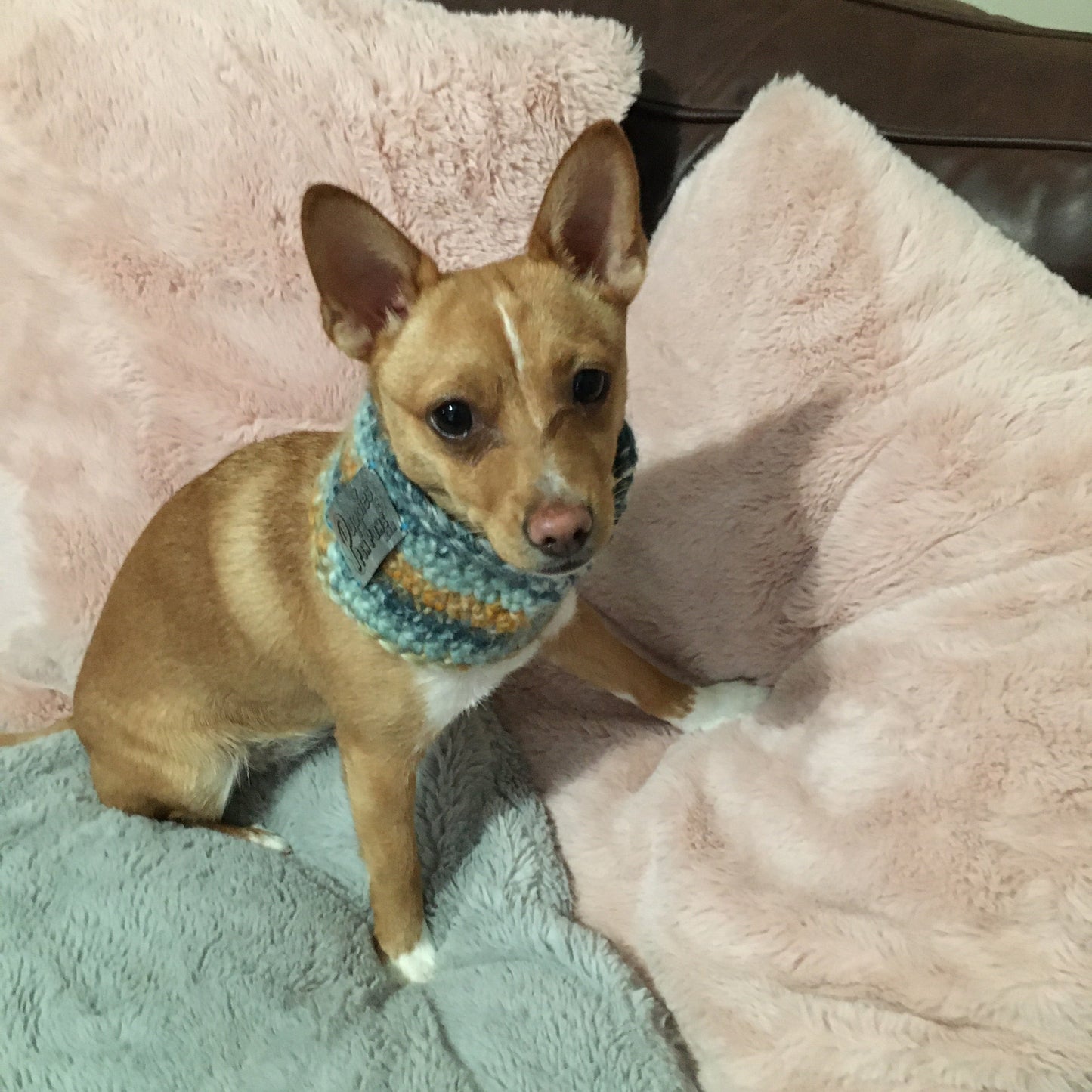 Ombré Blue / Orange Crochet Dog Snood / Buff