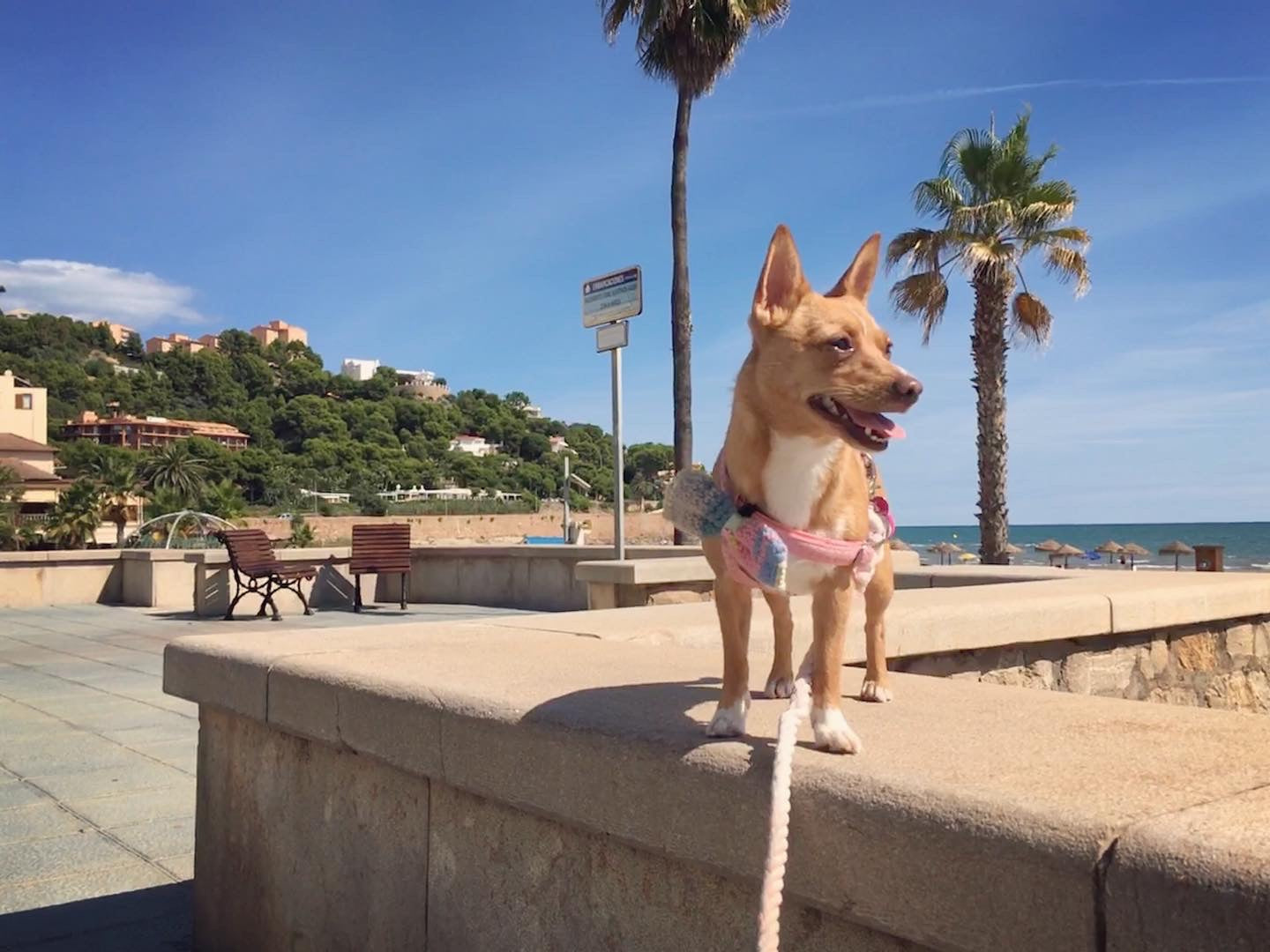 Pretty Pastels Luxe Crochet Bow Tie