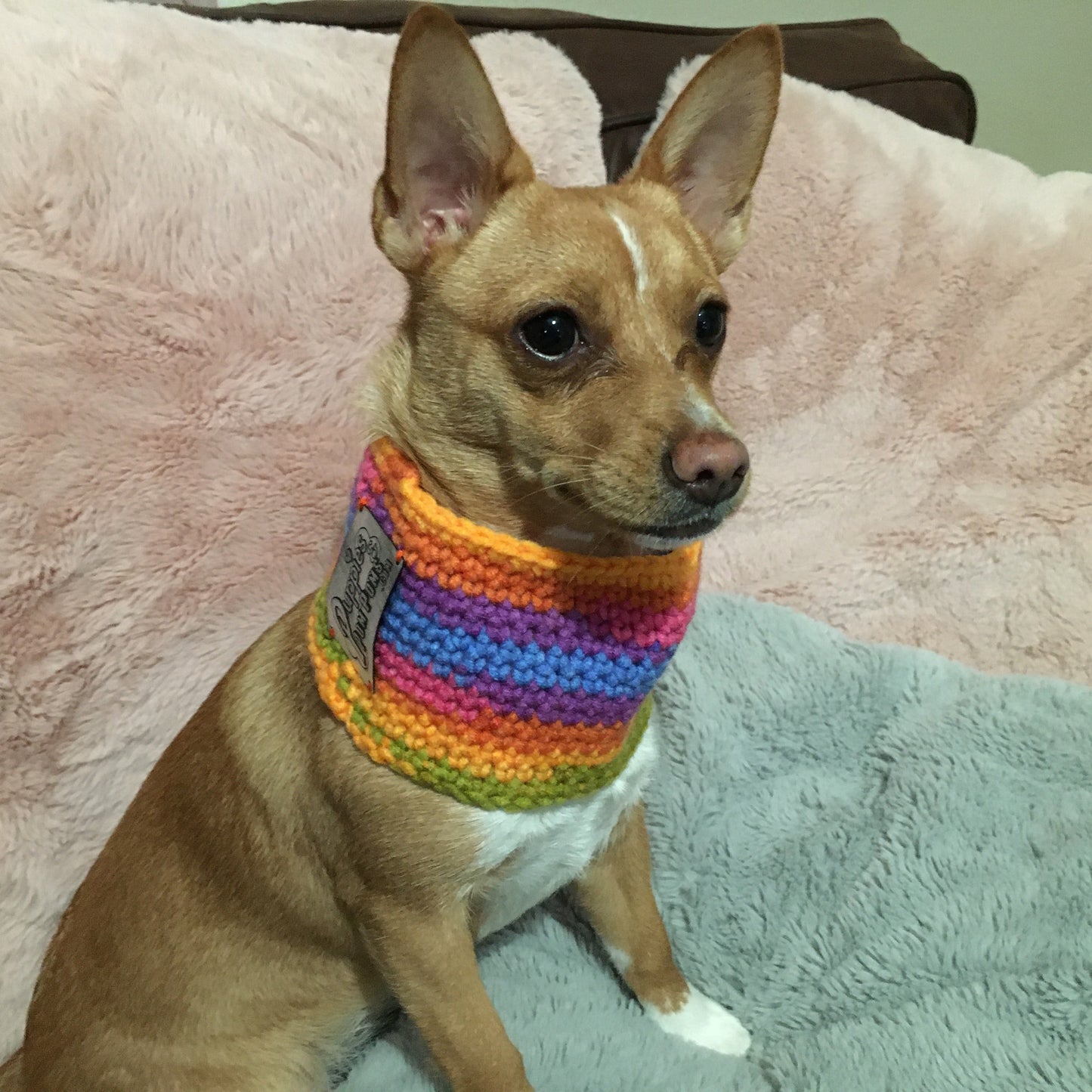 Rainbow Bright Crochet Dog Snood / Buff