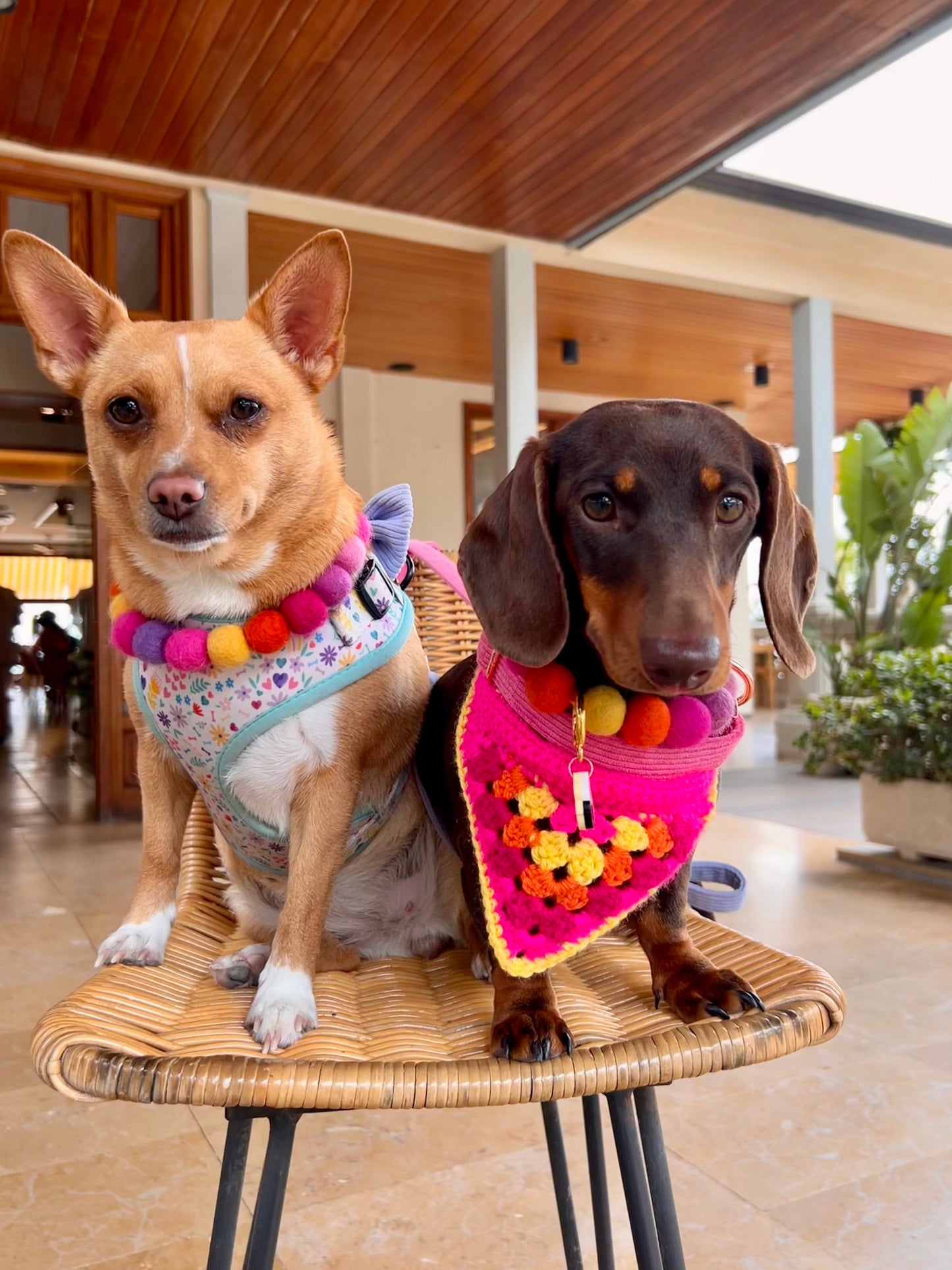 Crochet Dog Bandana - Hot Pink